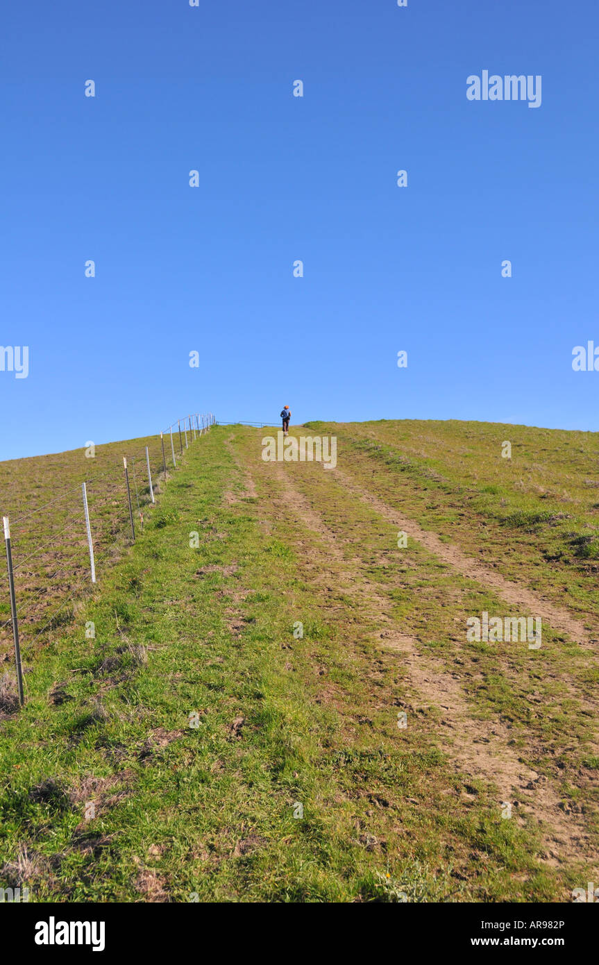 La route vers le ciel bleu en ligne Briones Regional Park East Bay Parcs régionaux Banque D'Images