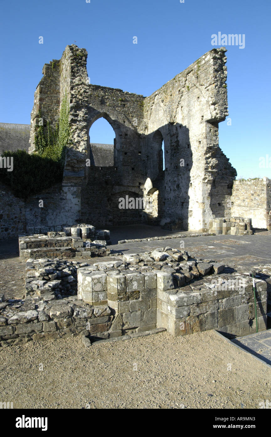 Abbaye en ruine à St Dogmaels, Pembrokeshire. Banque D'Images