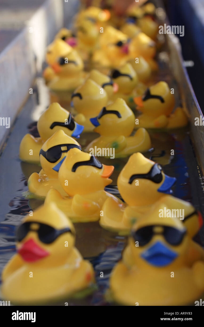 Canard en caoutchouc jaune avec lunettes de soleil, flottant dans la  piscine Photo Stock - Alamy