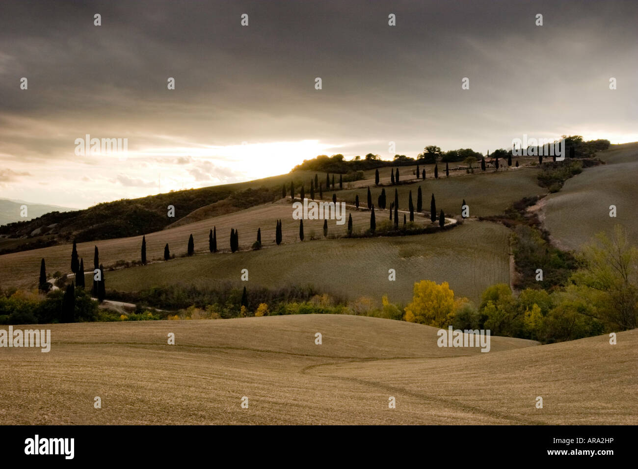 Ferme toscane typique sur une piste sinueuse Banque D'Images