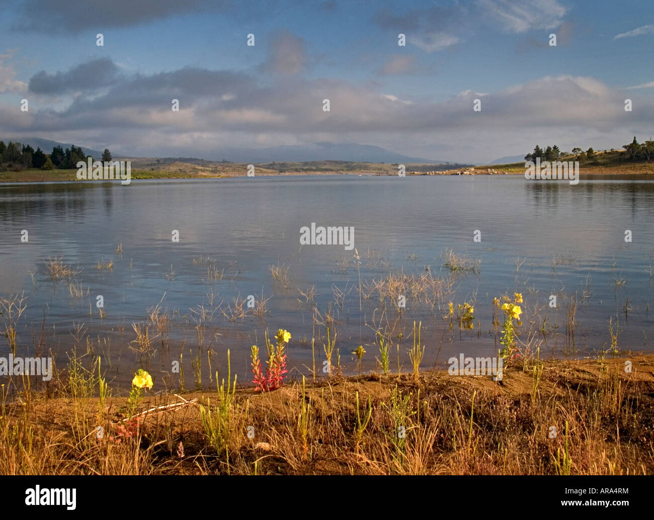 Lake Jindabyne Snowy Mountains New South Wales Australie Early morning light Banque D'Images