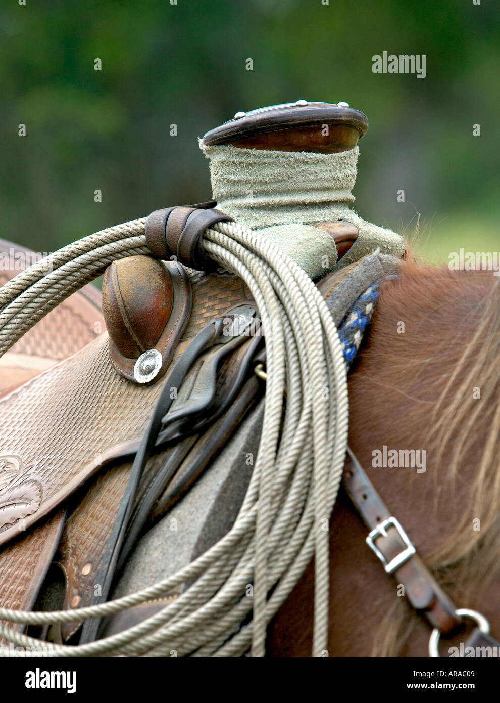 Close up of a saddle Banque D'Images