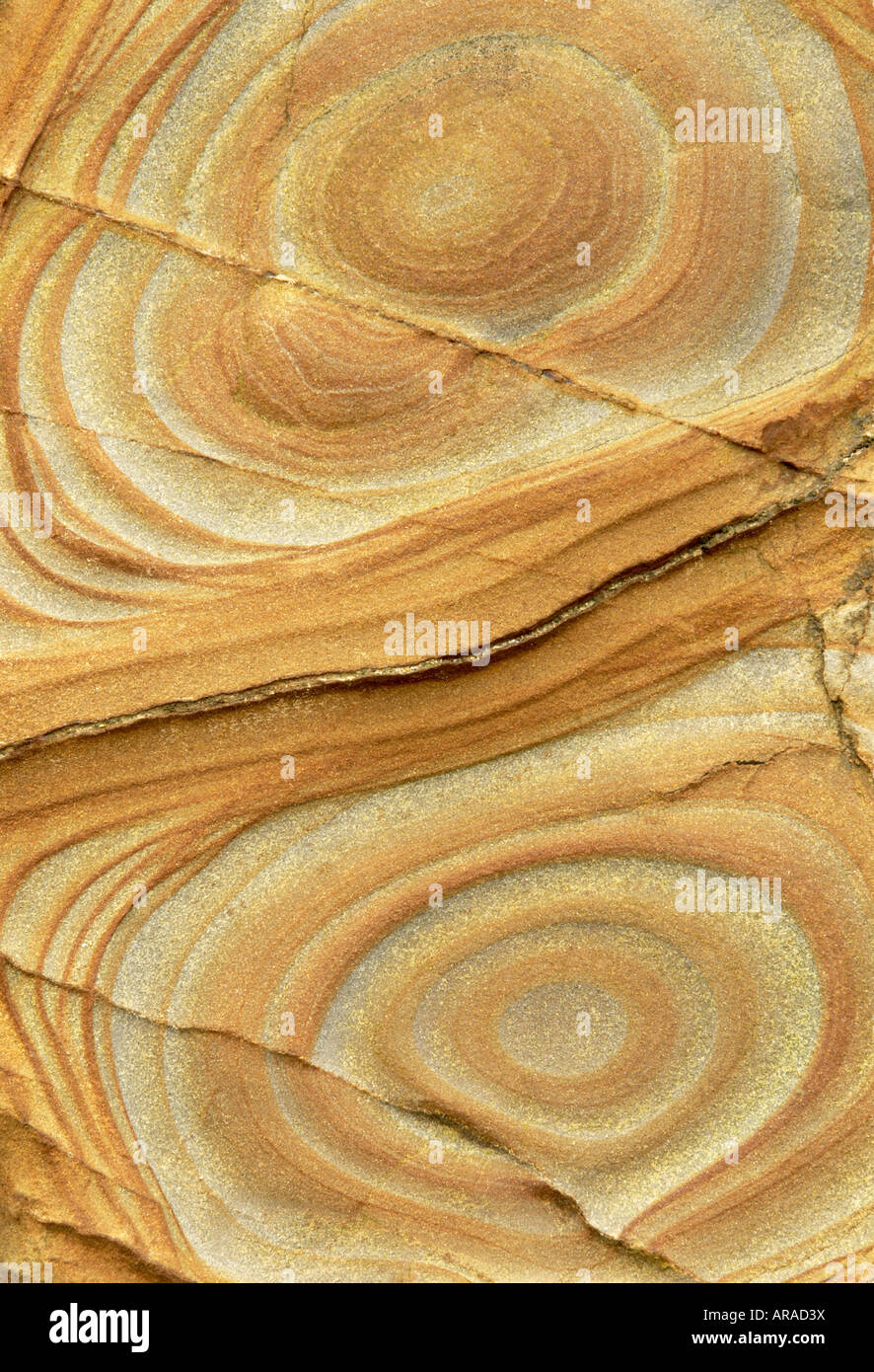 Rock patterns in Cornwall Widemouth Bay UK Banque D'Images