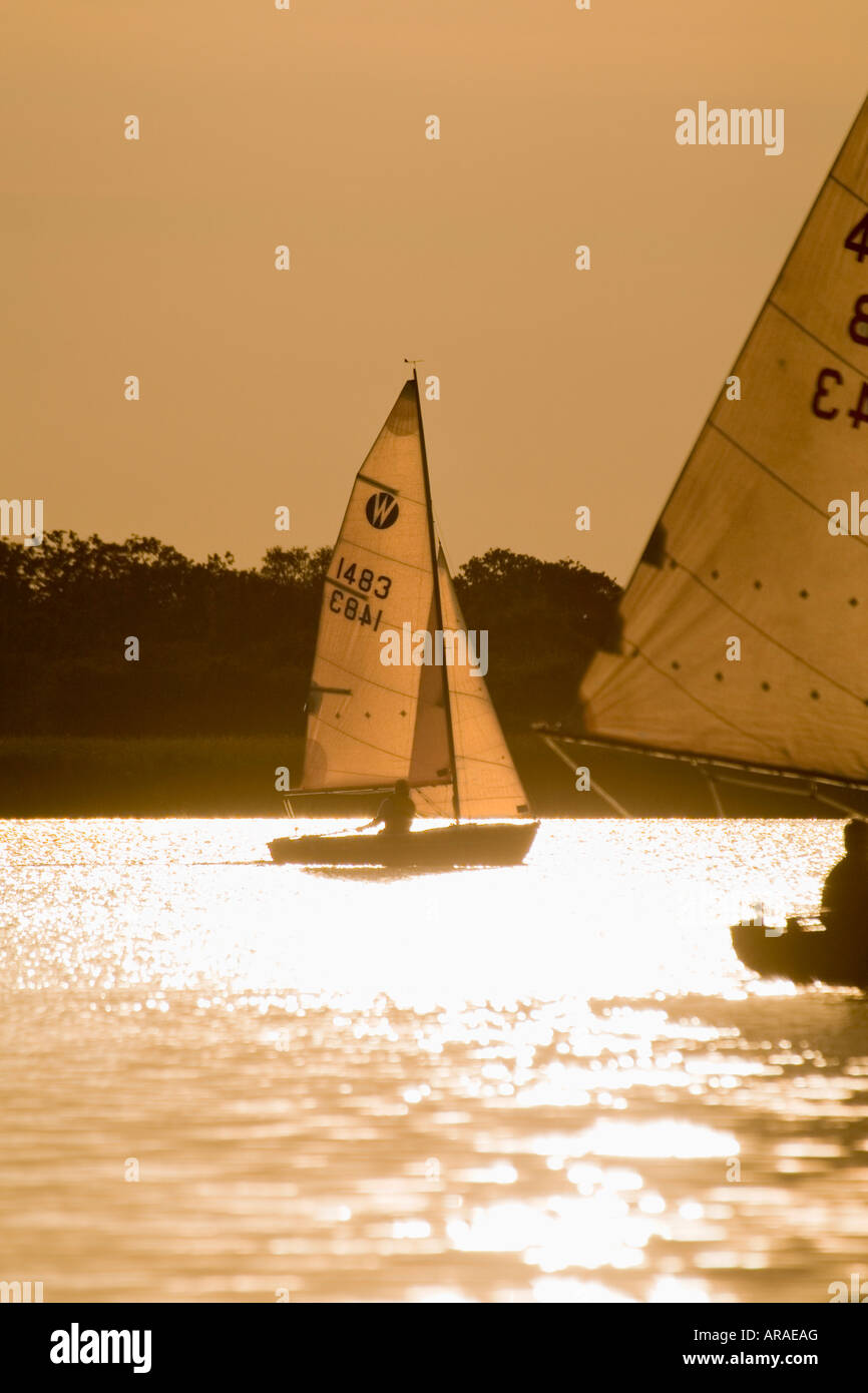Bateaux à voile sur Norfolk Broads au coucher du soleil Banque D'Images