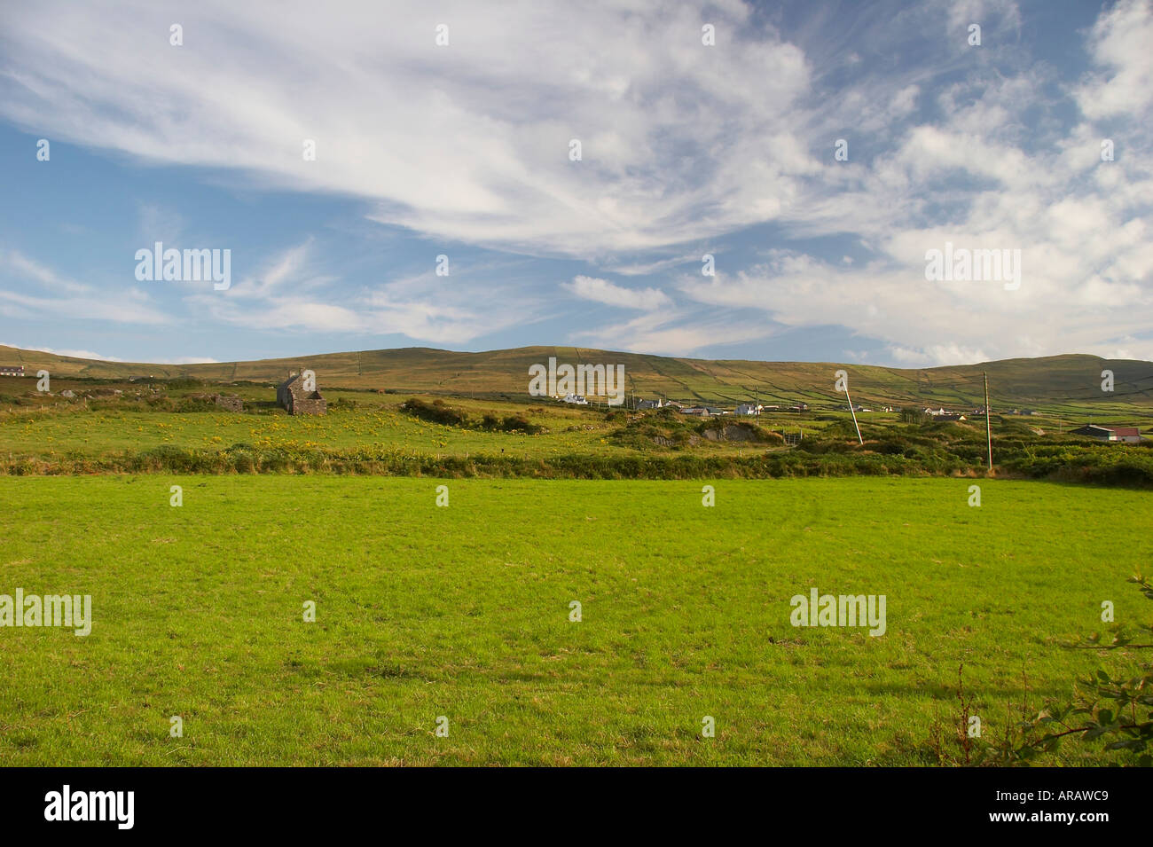 Prairie Irlandaise Banque De Photographies Et D images Haute prairie-irlandaise-banque-de-photographies-et-d-images-haute