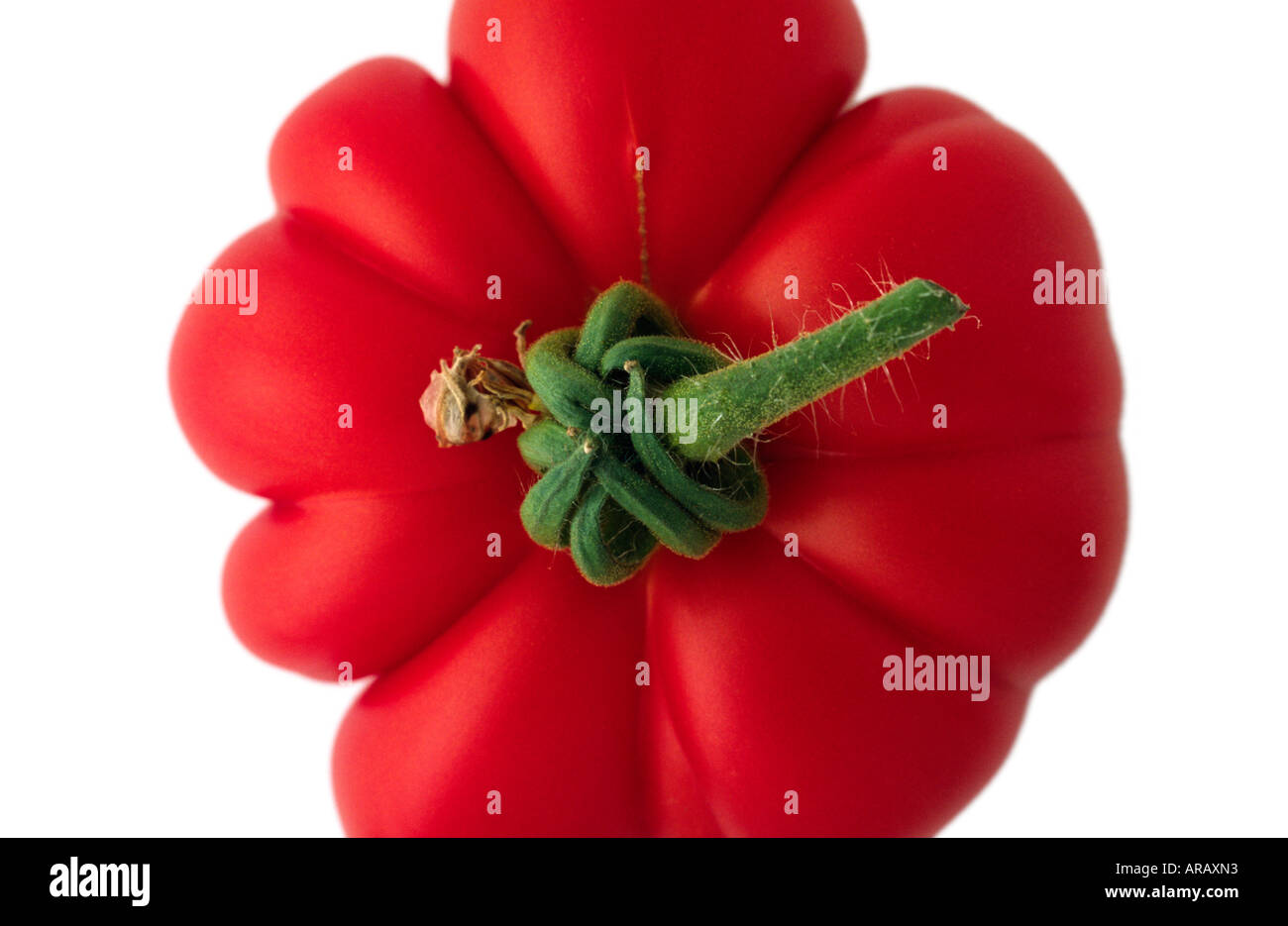 Tomate, Marmande Banque D'Images