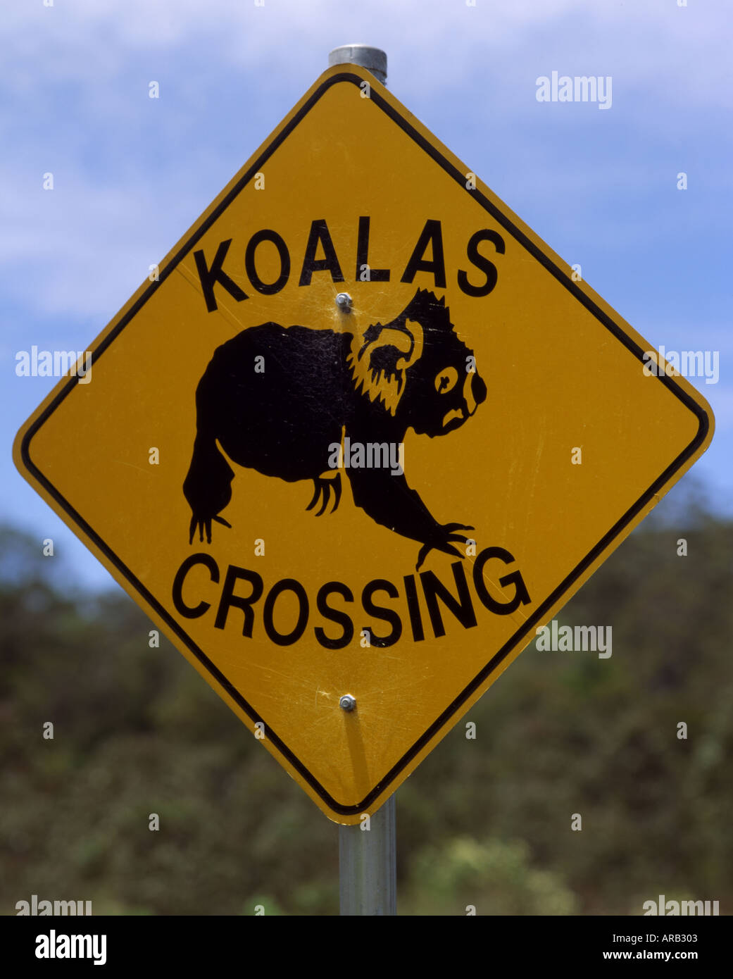 Koala Australie road sign Banque D'Images