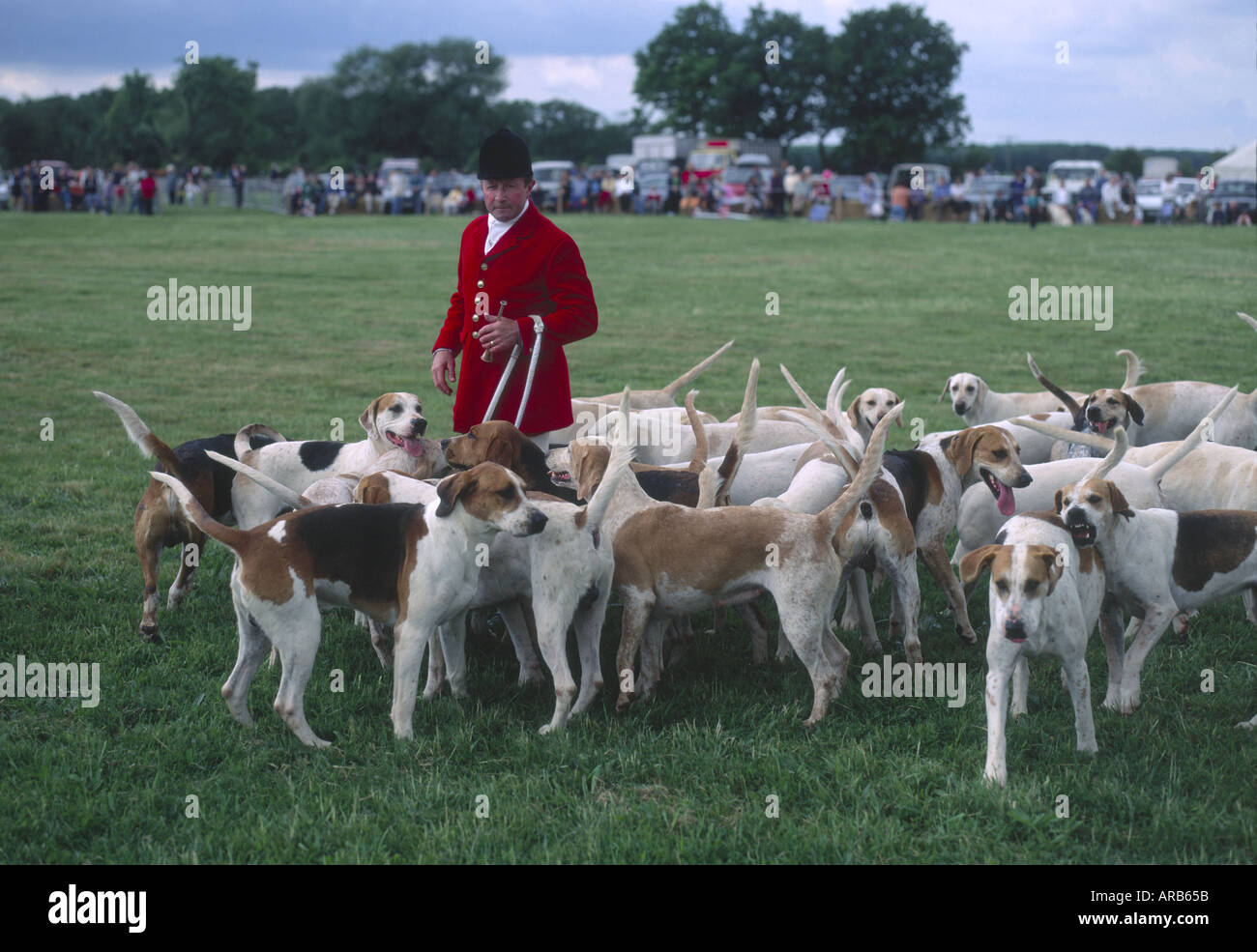 Wold sud chiens maître de la meute à l'afficher dans le Lincolnshire Banque D'Images