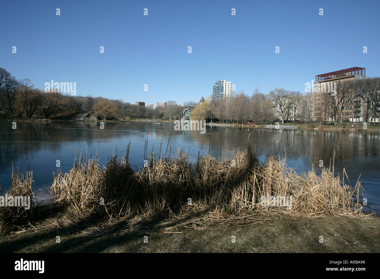 Central Park New York USA Banque D'Images