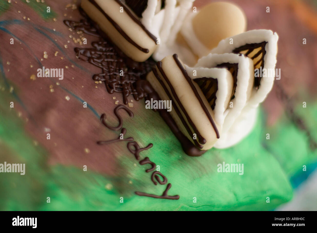 Gâteau de mariage / Sidney Opera House Banque D'Images