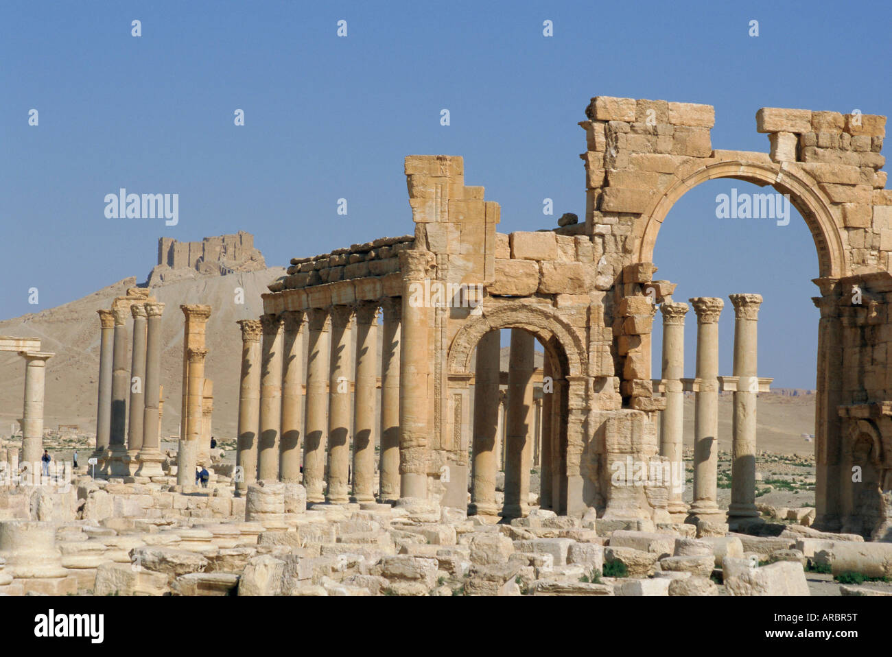 De Triomphe, rue de colonaded ville romaine, Palmyre, en Syrie, au Moyen-Orient Banque D'Images