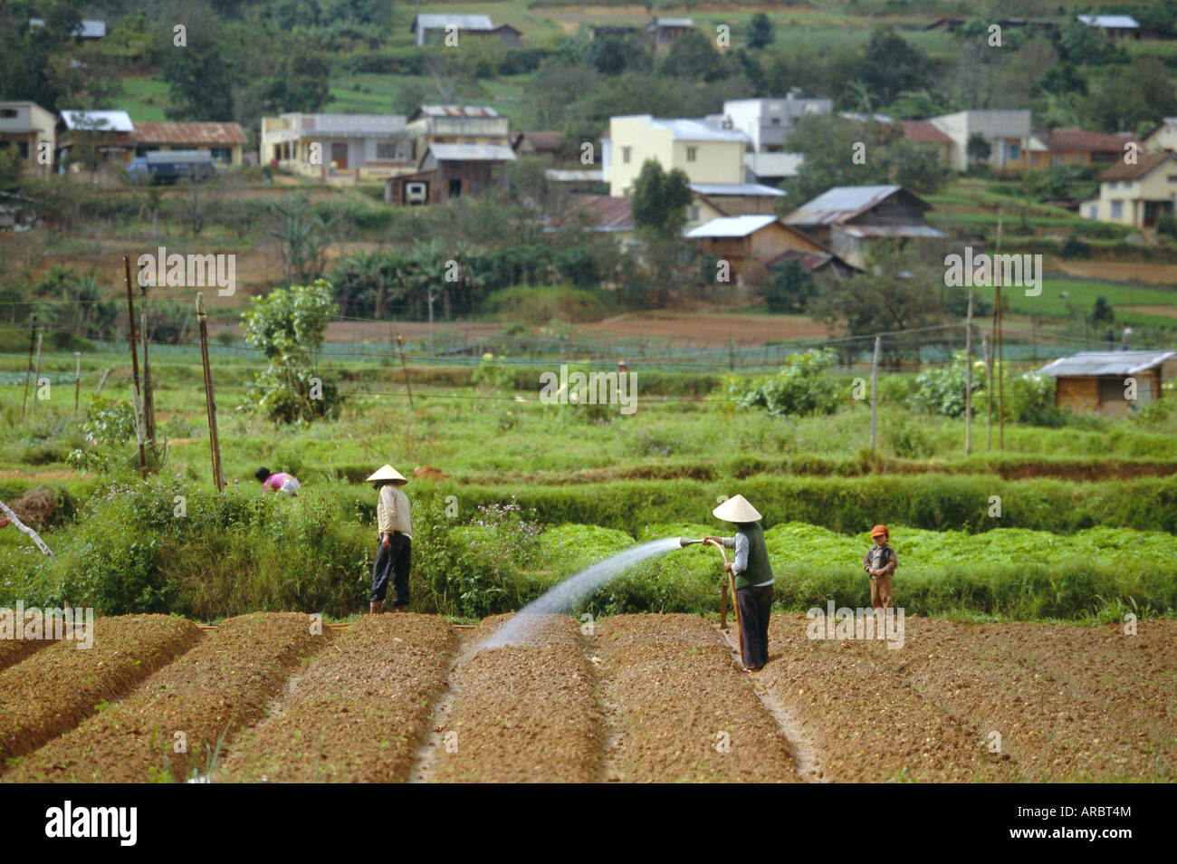 L'irrigation des champs près de Dalat, ville de hauts plateaux du centre, Vietnam, Indochine, Asie du Sud-Est, l'Asie Banque D'Images