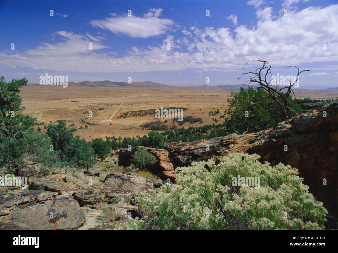 Vue de Yourambulla RockShelter près de Hawker, au sud de la chaîne de Flinders en Australie méridionale, Australie Banque D'Images