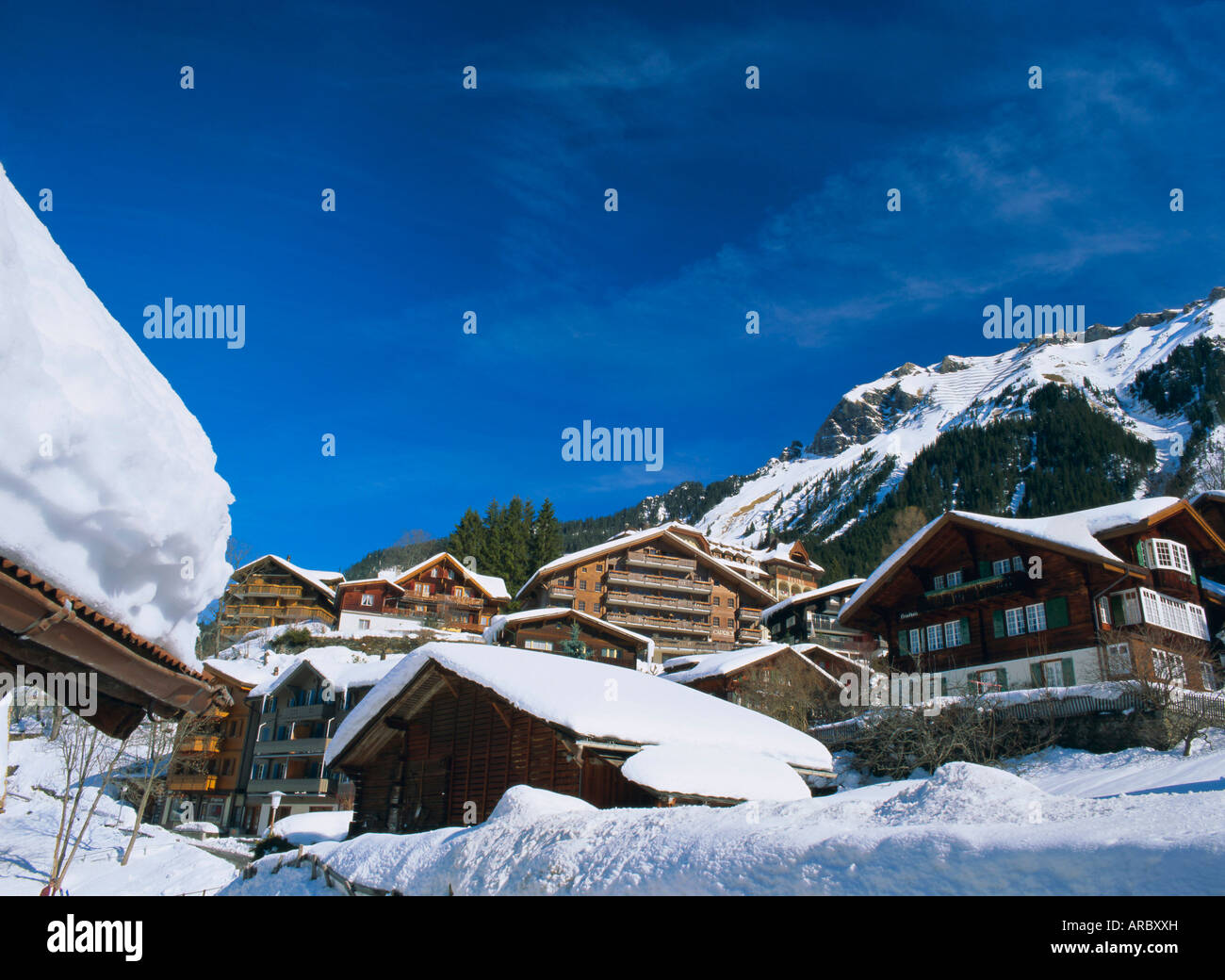 Chalets et hôtels, Wengen, l'Oberland bernois, Swiss Alps, Switzerland, Europe Banque D'Images