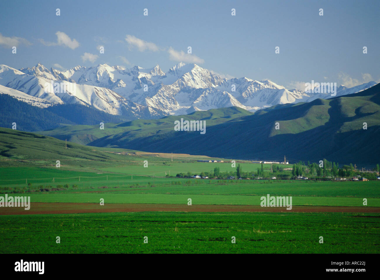 Tersey Alatoo montagnes par le lac Issyk-Koul, Tien Shan (Tian Shan), Kirghizstan (Kirghizistan), FSU, l'Asie centrale, d'Asie Banque D'Images
