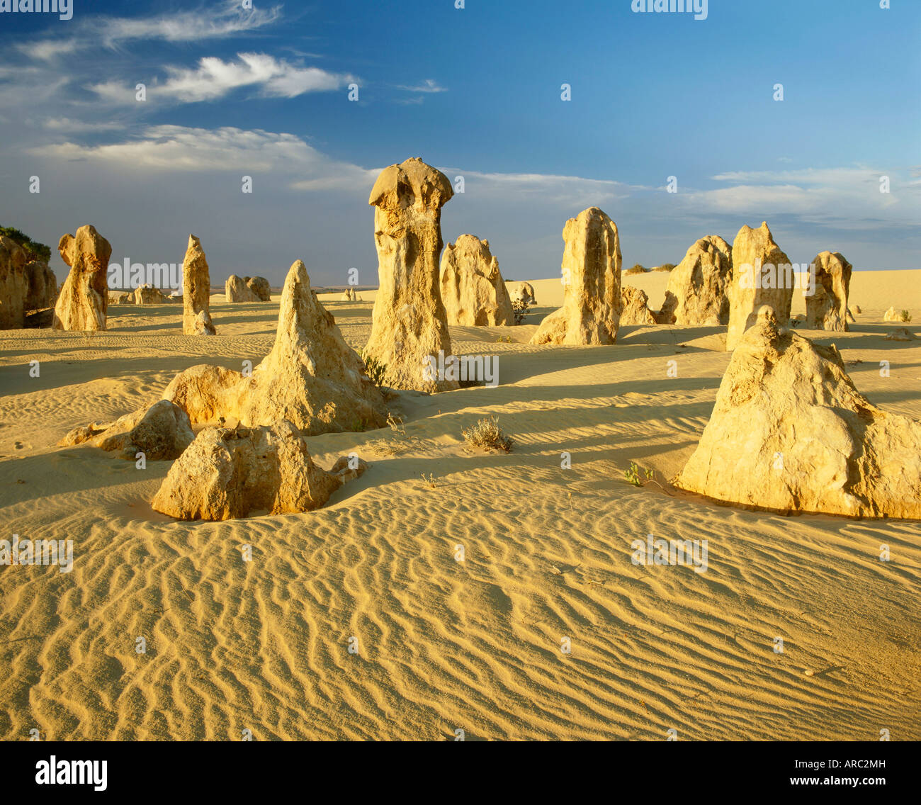 Rock formations dans le Pinnacle désert dans le Parc National de Nambung près de Perth, Australie occidentale Banque D'Images