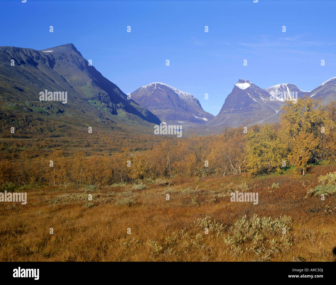 Le mont Kebnekaise, la plus haute montagne de Suède, Laponia, Laponie, Laponie, Suède, Scandinavie Banque D'Images