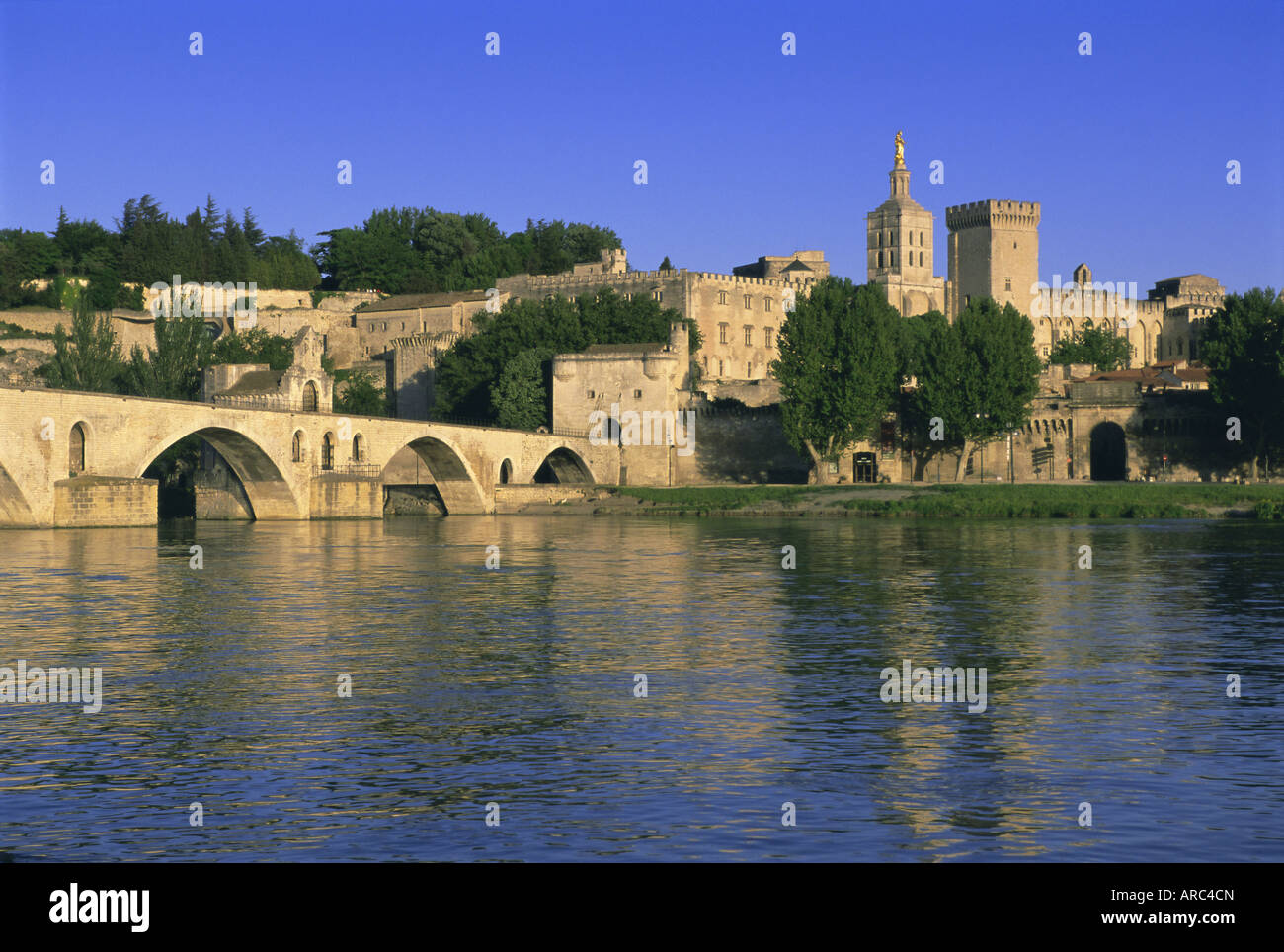 Pont Saint Bénézet (le Pont d'Avignon) pont sur le Rhône, Avignon, Vaucluse, Provence, France, Europe Banque D'Images