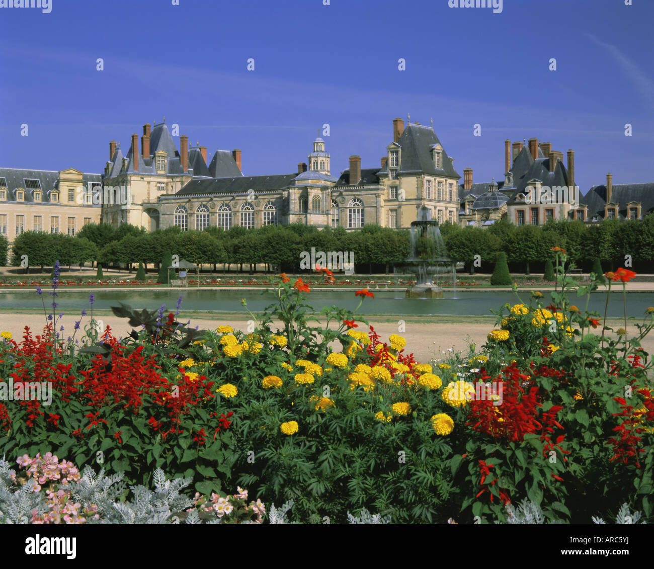 Château de Fontainebleau, UNESCO World Heritage Site, Fontainebleau, France, Europe Banque D'Images
