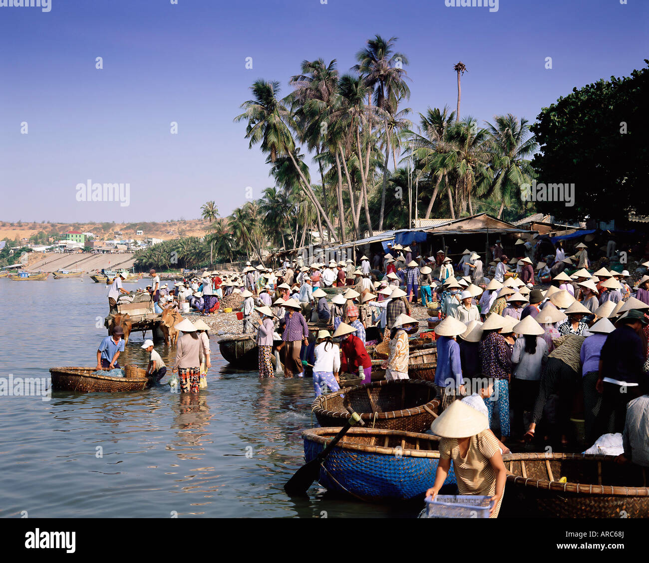 Village de pêcheurs, les personnes qui reçoivent la capture du matin, Mui Ne, le centre-sud de la côte, le Vietnam, l'Indochine, en Asie du sud-est Banque D'Images