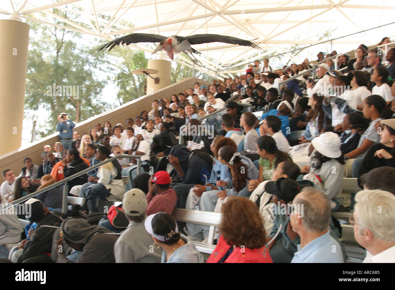 Miami Florida,Parrot Jungle,oiseaux,plumes,vol,Drug Free Youth in Town,DFYIT club,anti addiction organisation à but non lucratif,Drug Free Festival,festival Banque D'Images