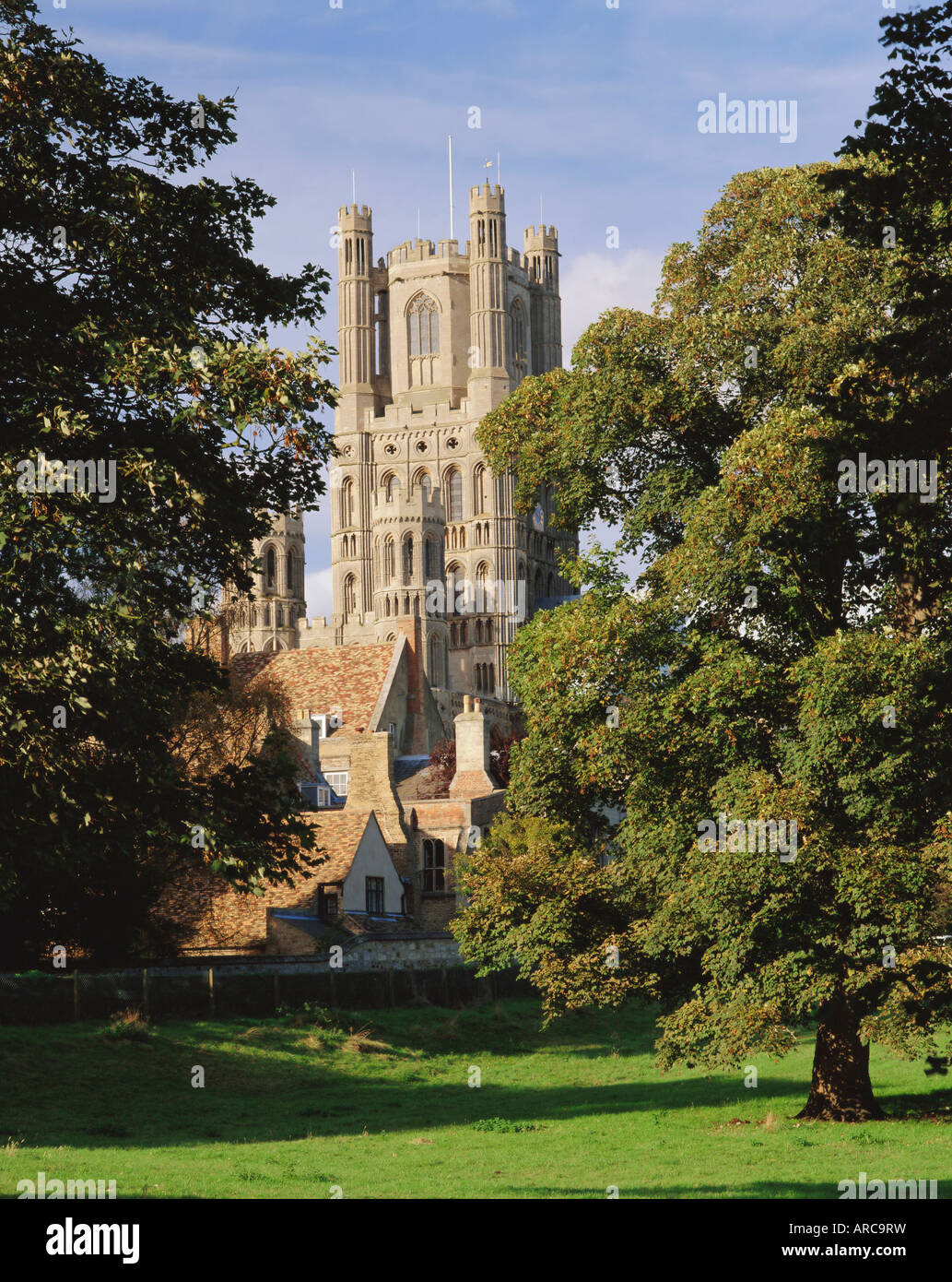 Cathédrale d'Ely, Ely, Cambridgeshire, Angleterre, RU Banque D'Images