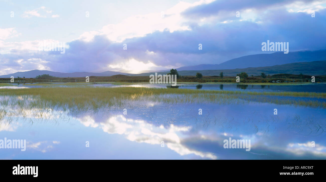 Ba', Loch Rannoch Moor, Highlands, Scotland, UK Banque D'Images