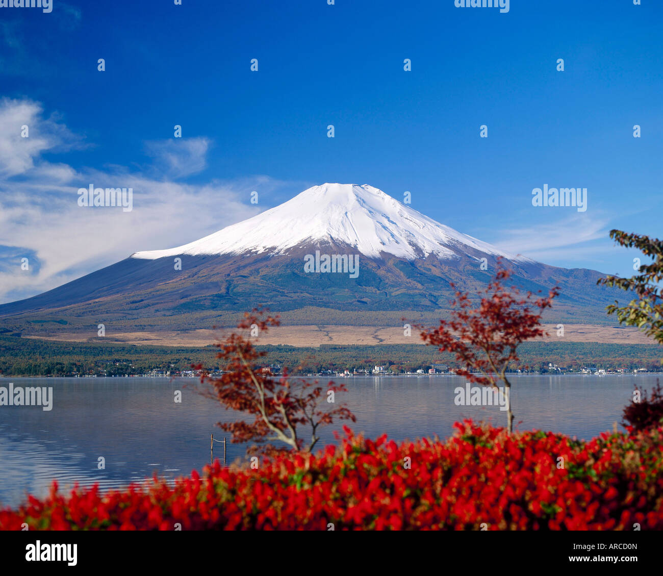 Mt.Fuji, Japon Banque D'Images