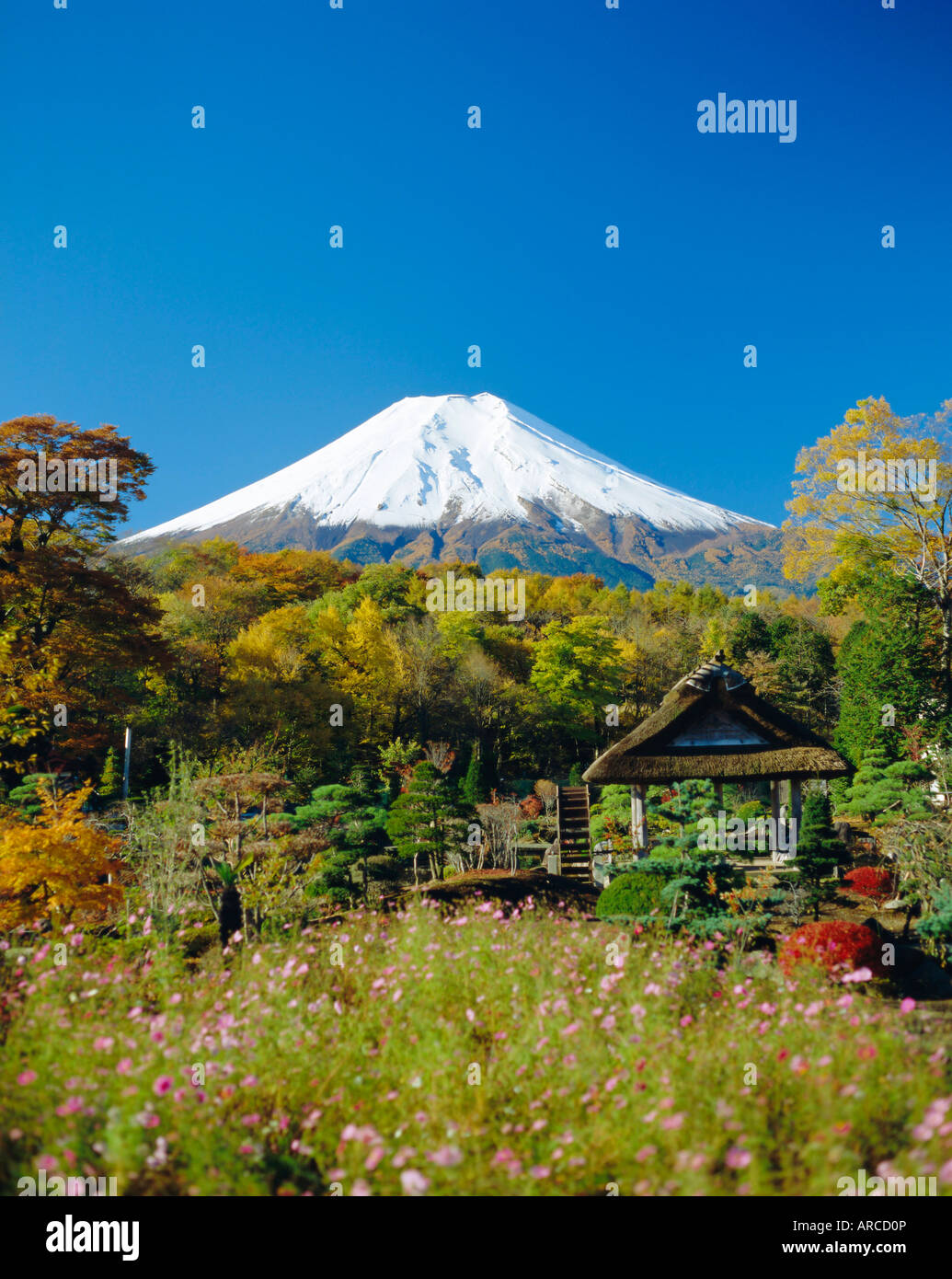 Mont Fuji, Japon Banque D'Images