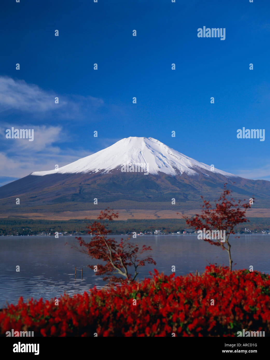 Le Mont Fuji, Honshu, Japon, Asie Banque D'Images