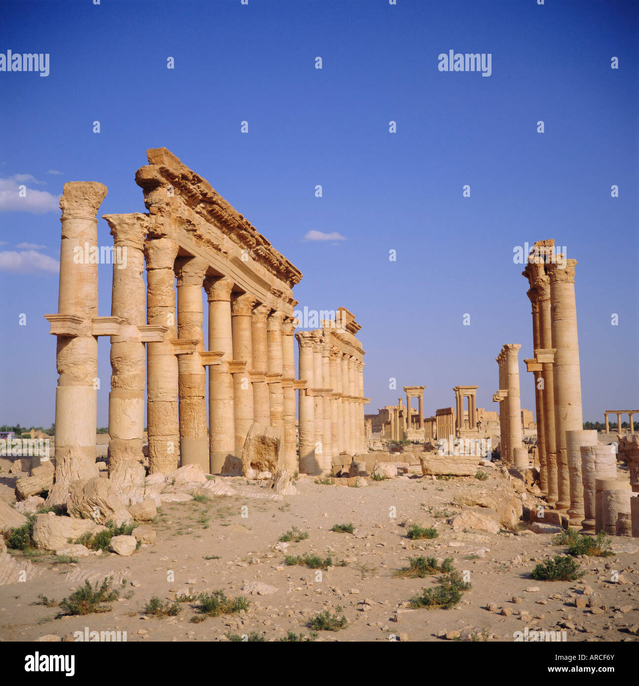 Tetrapylon sur colonnes gréco-romaine, rue Main, 1er siècle après JC, Palmyre, en Syrie, au Moyen-Orient Banque D'Images