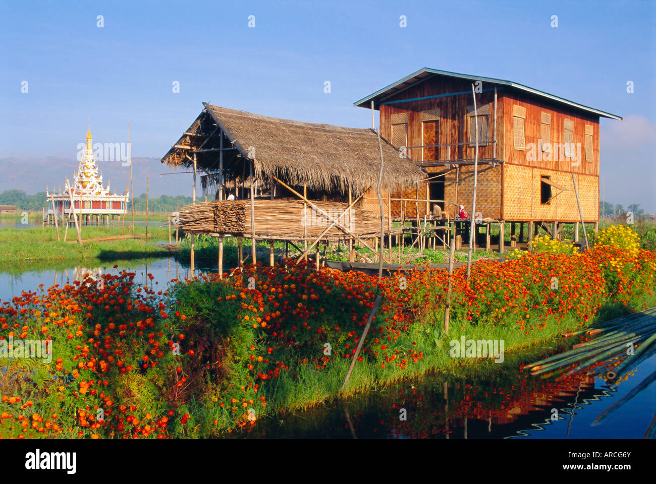 Maison sur pilotis, au Lac Inle, Myanmar, en Asie Banque D'Images