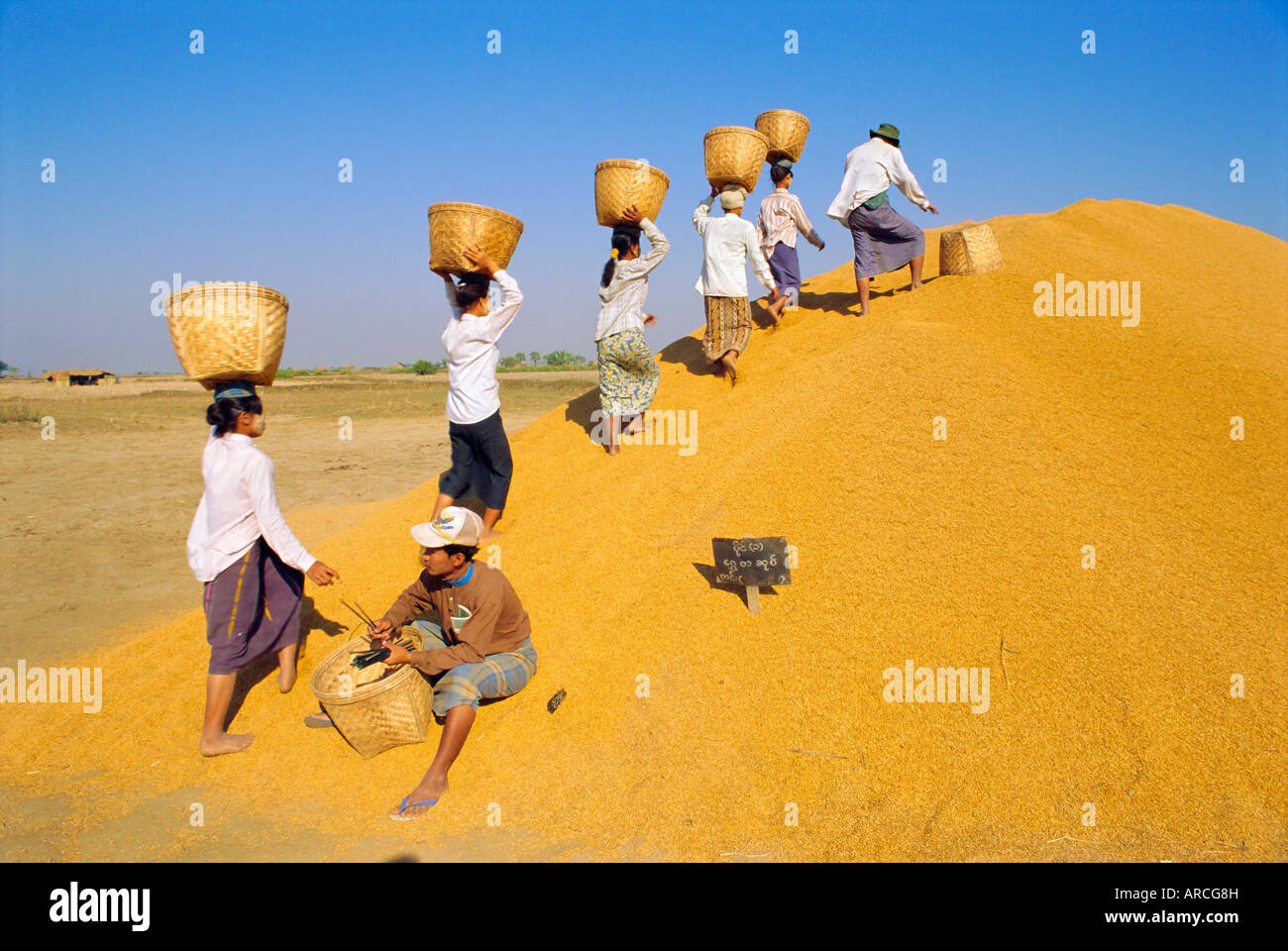 Les filles du dépôt de taxe sur le riz, le riz du gouvernement depot près de Thaton, Myanmar, en Asie Banque D'Images