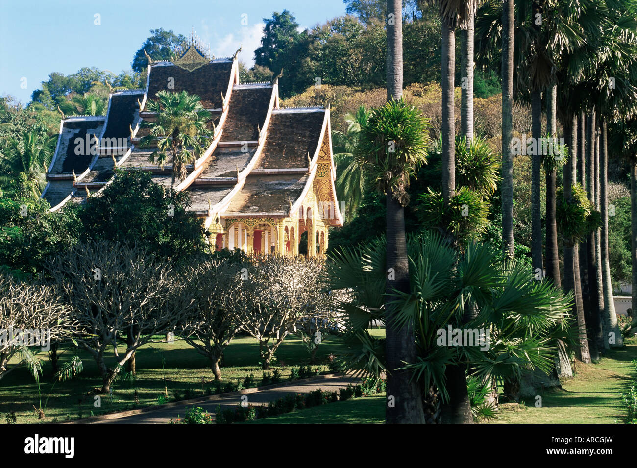 Wat Mai Suwannaphumaham et arbres, Luang Prabang, Patrimoine Mondial de l'UNESCO, le Laos, l'Indochine, l'Asie du Sud-Est, Asie Banque D'Images