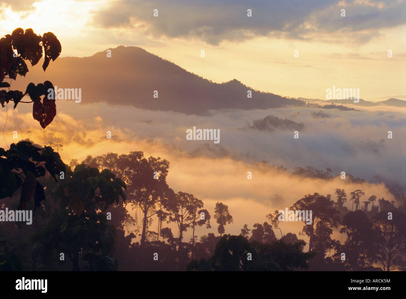 À l'aube dans l'aire de conservation de la vallée de Danum - Forêt de diptérocarpacées, Mt Rafflesia en distance, Sabah, Malaisie, Asie Banque D'Images