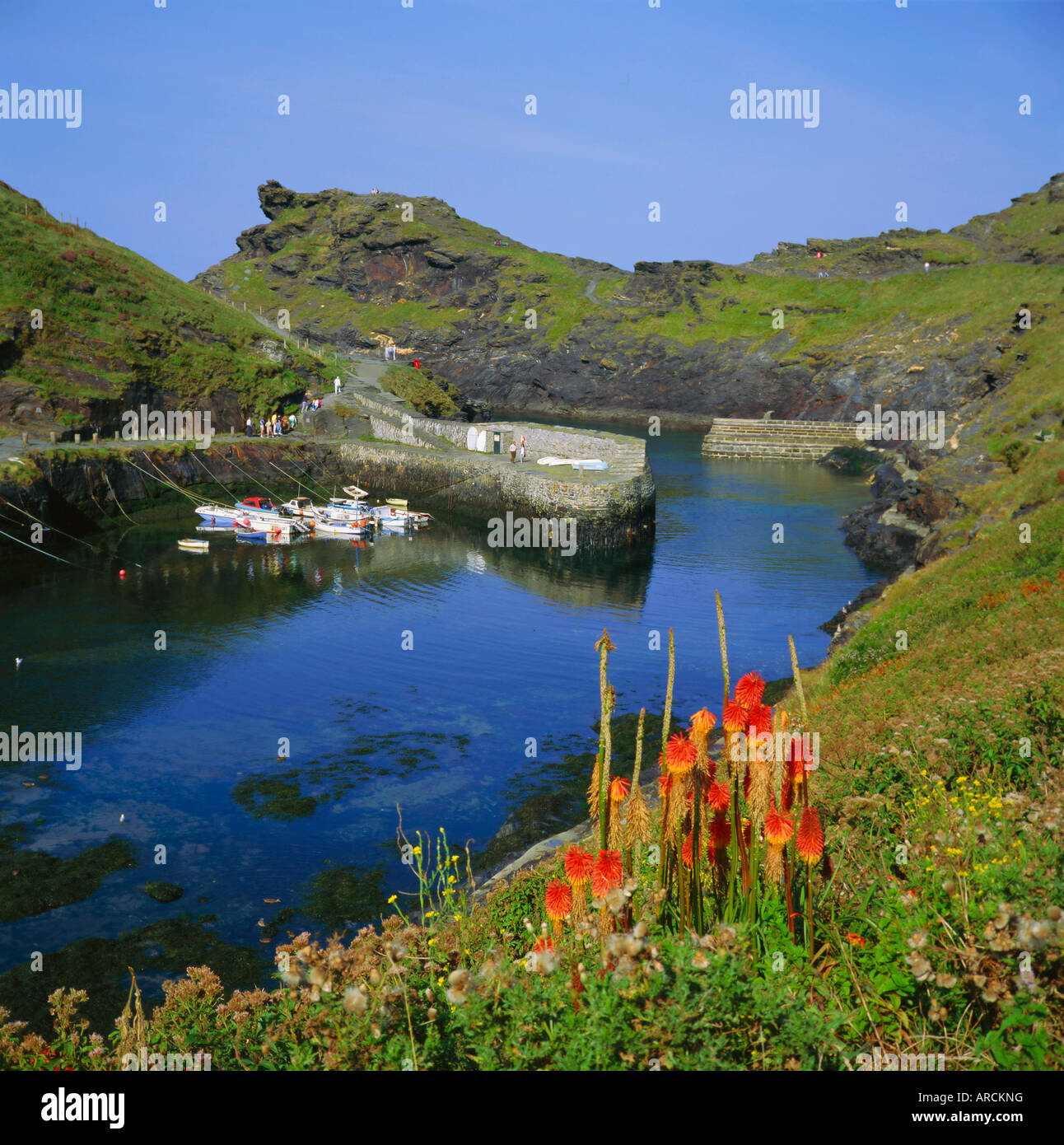Boscastle Harbour, North Cornwall, England, UK Banque D'Images