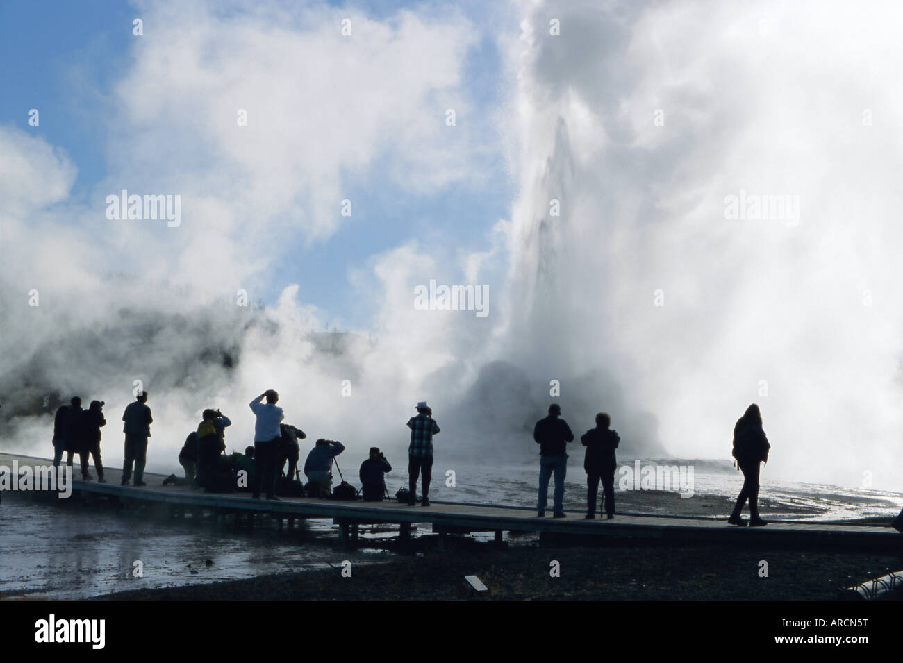 Castle Geyser, Upper Geyser Basin, Parc National de Yellowstone, UNESCO World Heritage Site, Wyoming, USA (États-Unis), en Amérique du Nord Banque D'Images