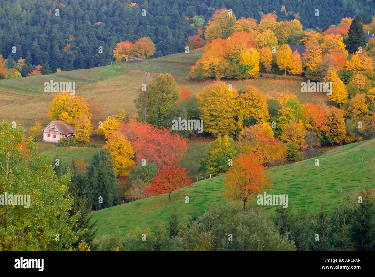Les Vosges, Lorraine, France, Europe Banque D'Images