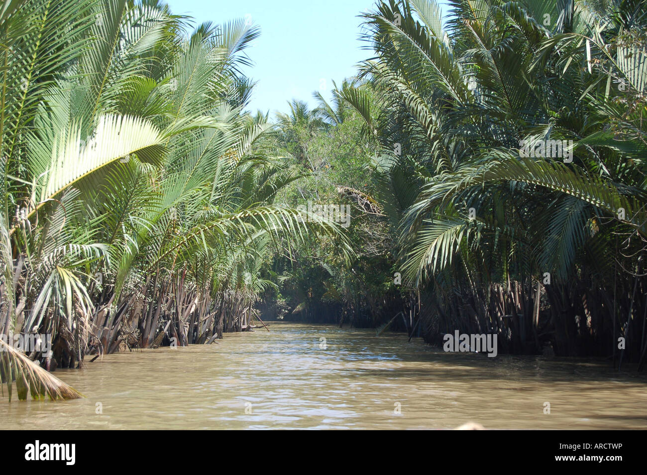 Delta du Mekong, Vietnam, explorer les voies navigables étroites en bateau Banque D'Images