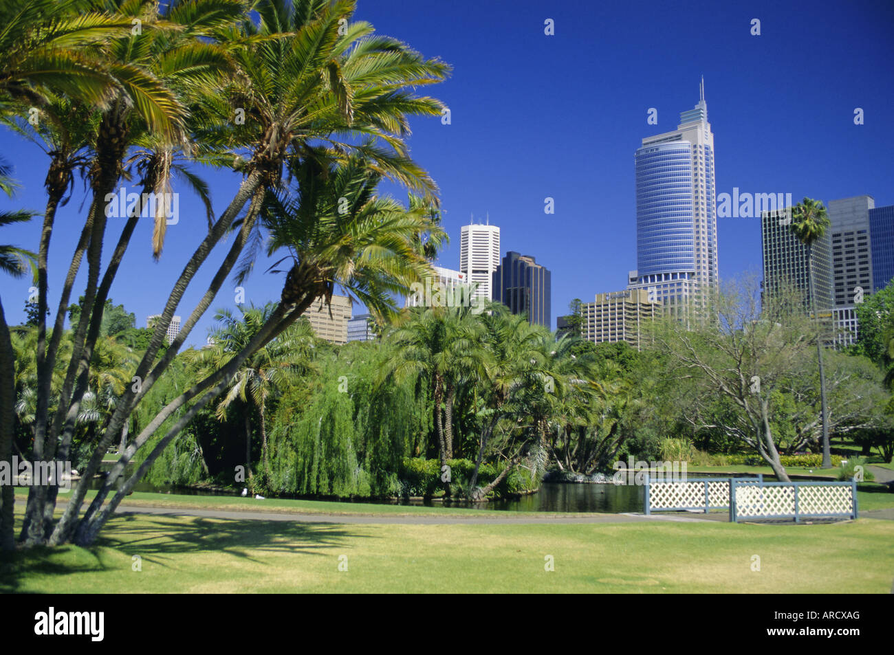 Royal Botanic Gardens et sur les toits de la ville, Sydney, Nouvelle-Galles du Sud, Australie, Pacifique Banque D'Images
