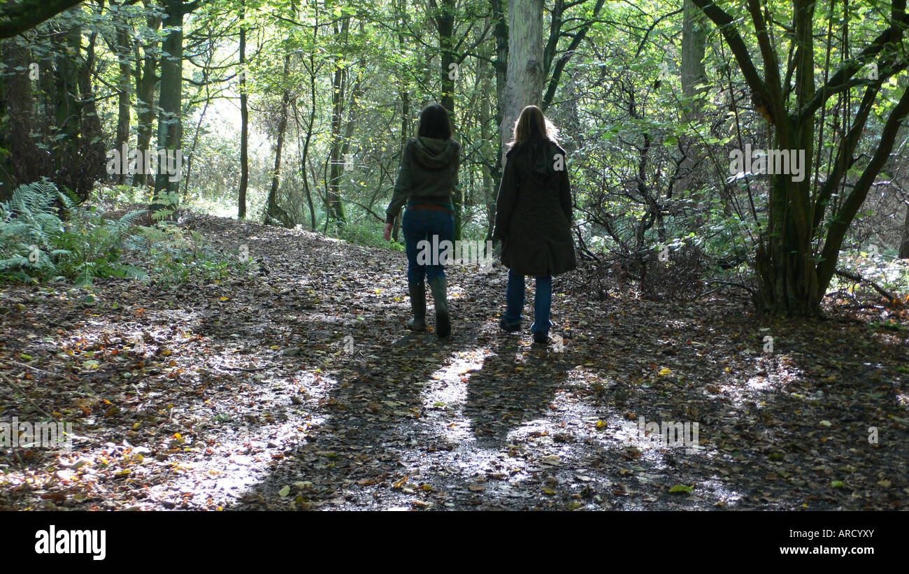 Pic par Howard Barlow - promenade en forêt d'hiver Banque D'Images