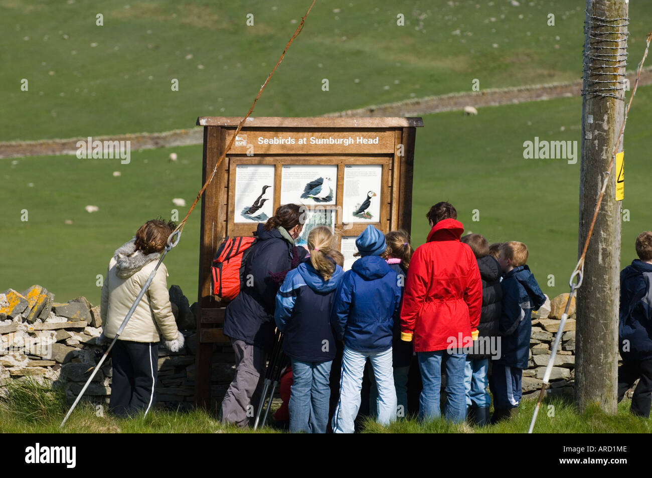 Groupe d'écoliers affichage des informations d'administration à la tête de la réserve RSPB' Établissement"Sumburgh, Shetland, Écosse, l'été Banque D'Images