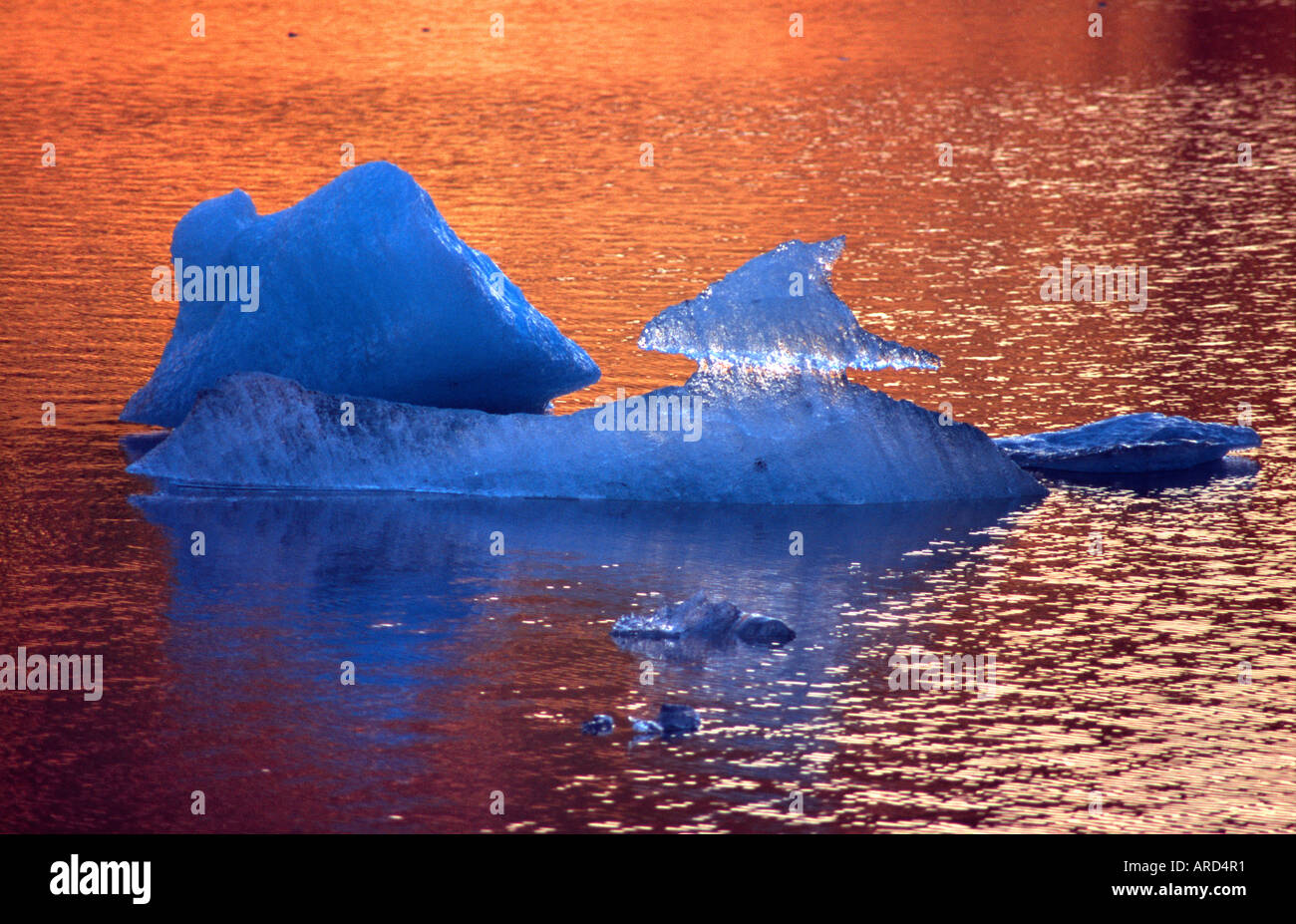 Iceberg dans la Laguna Torre, Parc Nacional Los Glaciares, en Patagonie argentine Banque D'Images