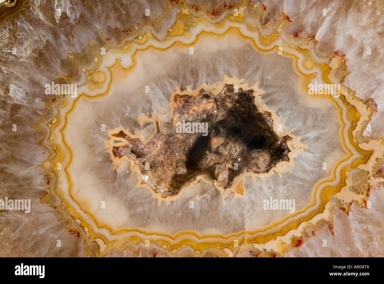 Un spécimen de minéral Banque D'Images