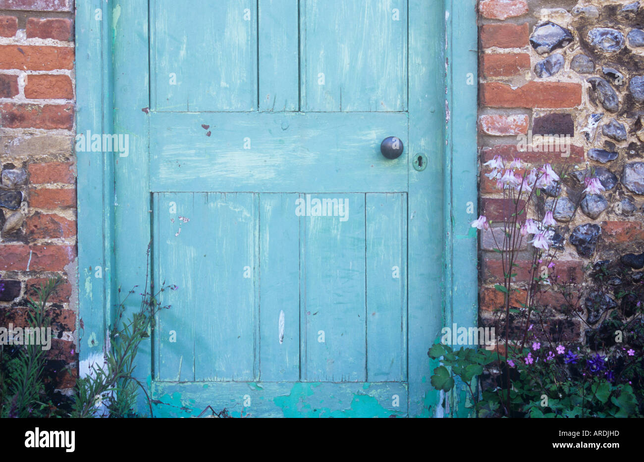 Détail de la porte en bois lambrissé vert pâle avec poignée en laiton et avec des murs en briques et silex de chaque côté avec des fleurs Banque D'Images