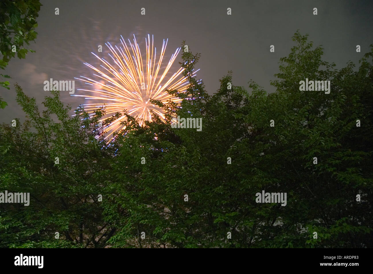Au cours de l'éclatement d'artifice de la rivière Sumida à Tokyo au Japon Banque D'Images