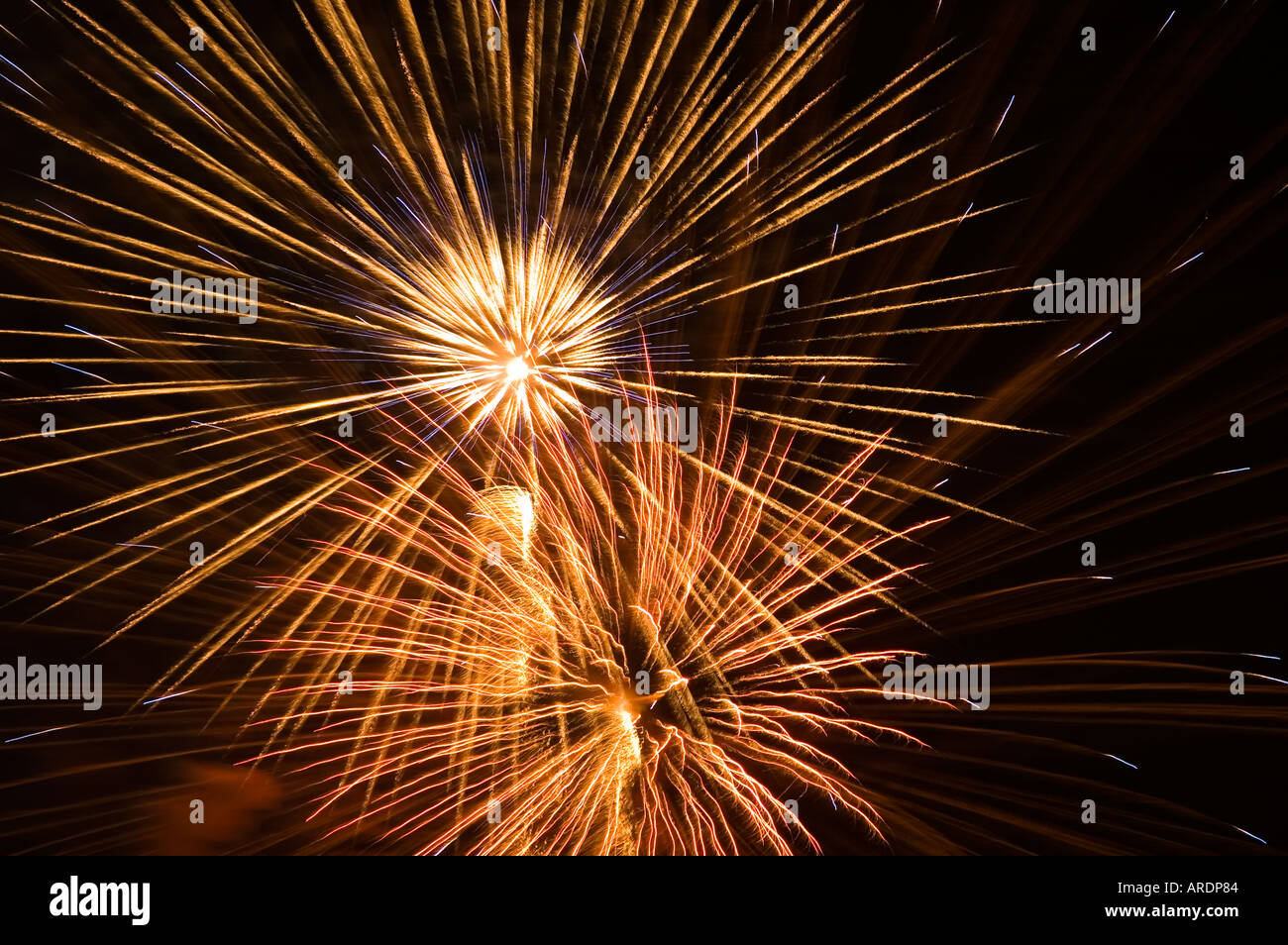 Au cours de l'éclatement d'artifice de la rivière Sumida à Tokyo au Japon Banque D'Images