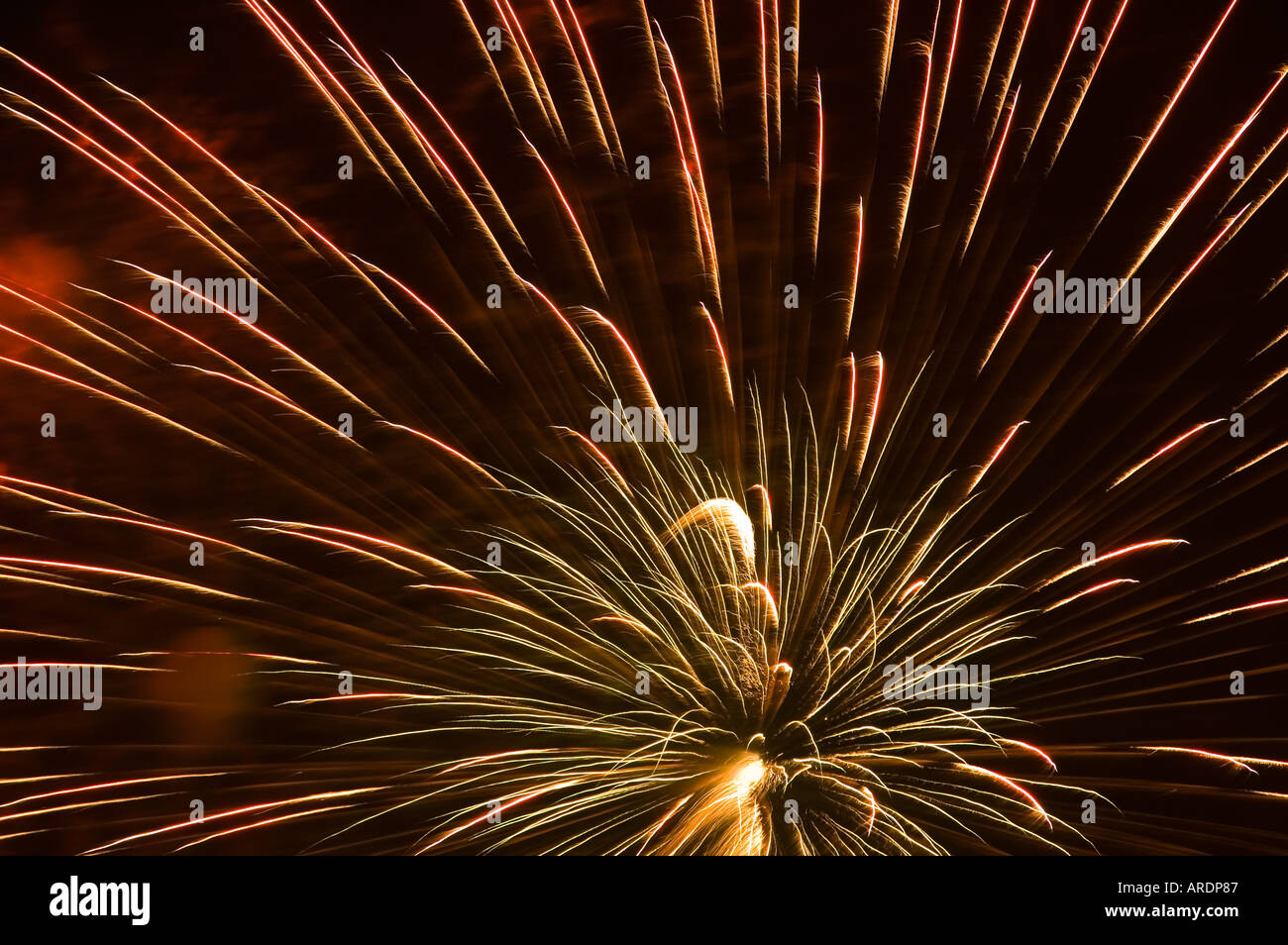 Au cours de l'éclatement d'artifice de la rivière Sumida à Tokyo au Japon Banque D'Images