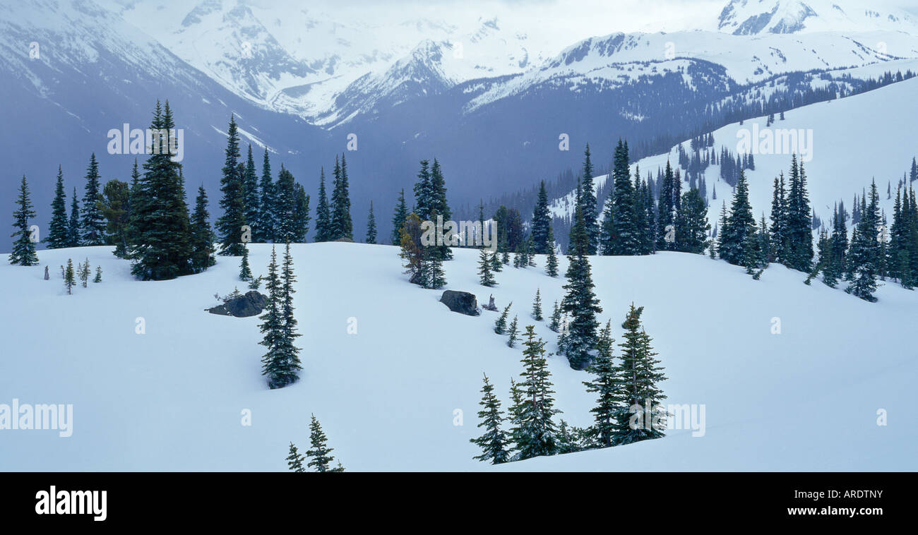Scène de la neige sur le mont Whistler Whistler British Columbia Canada Banque D'Images