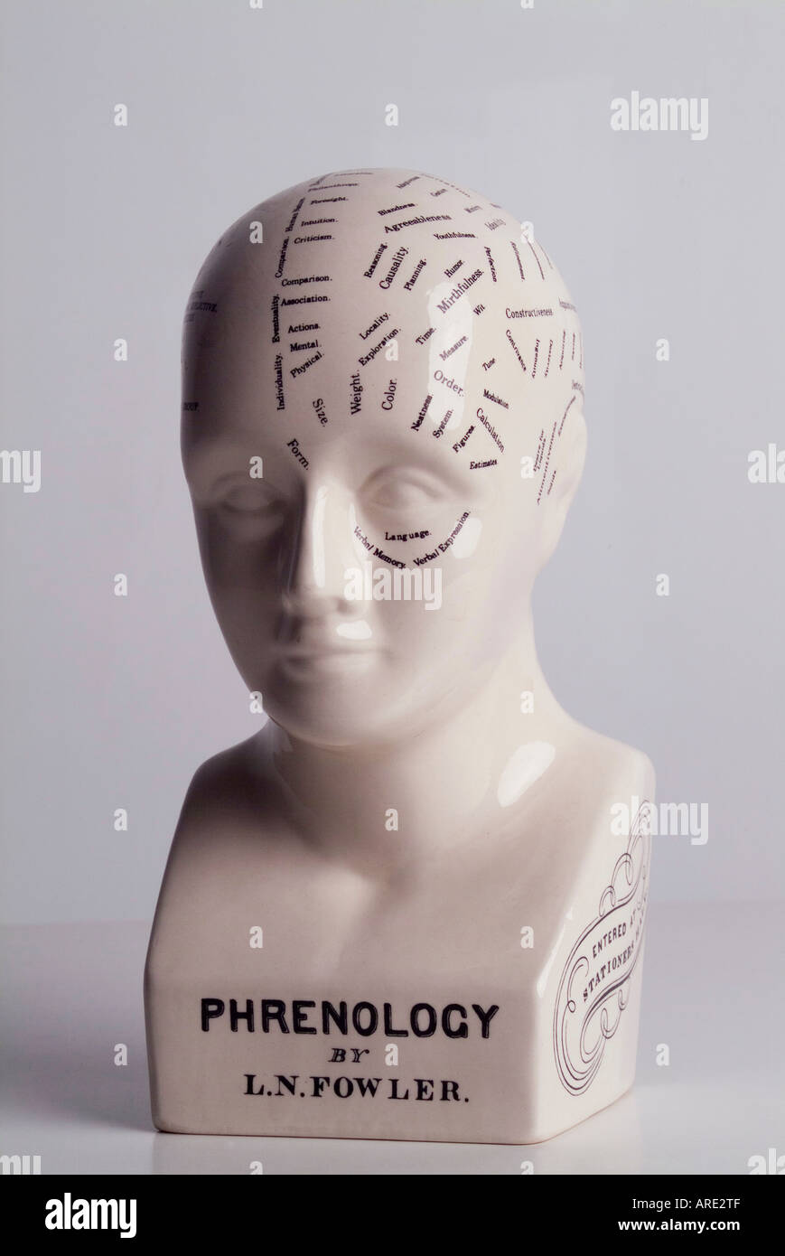 Phrenology Head Diagram Banque d'image et photos - Alamy